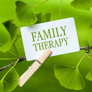 پروتکل خانواده درمانی ستیر