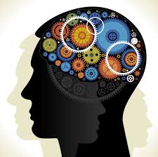 پروتکل آموزش مهارت های عصب روانشناختی